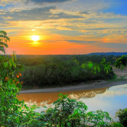 amazonas